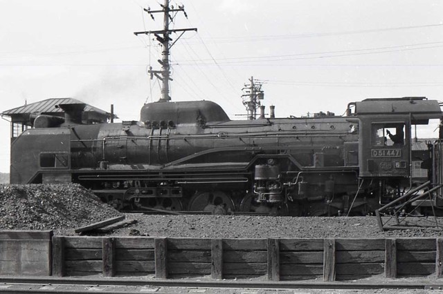 D51_447_01.jpg