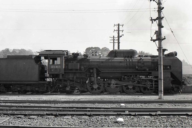 D51_447_02.jpg
