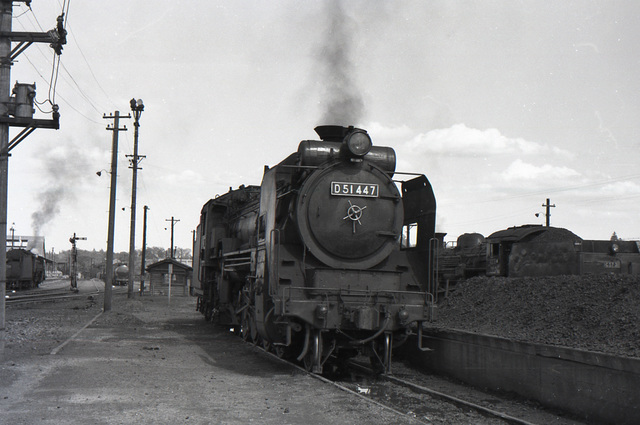 D51_447_05.jpg