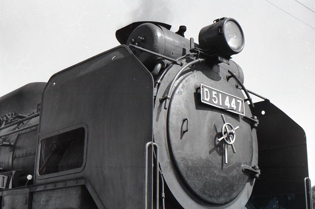 D51_447_06.jpg