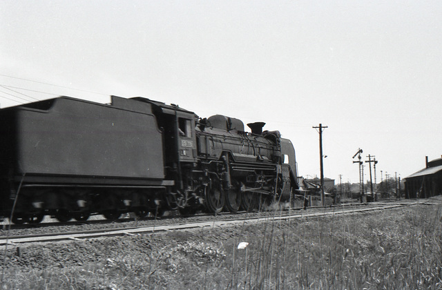 D51_770_02.jpg